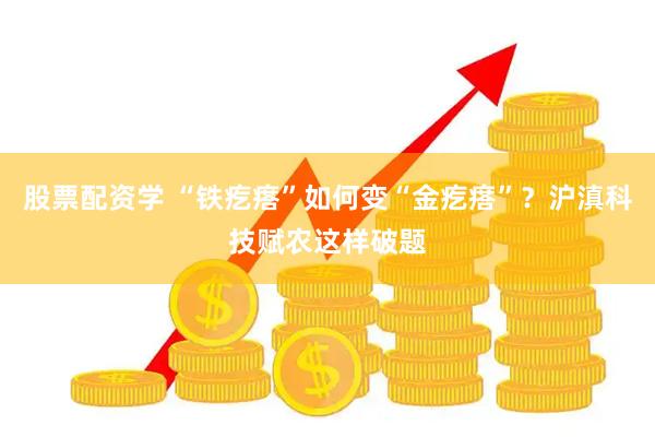 股票配资学 “铁疙瘩”如何变“金疙瘩”？沪滇科技赋农这样破题